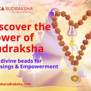 The Ultimate Source for Authentic Rudraksha is now Online | Discover www.ekarudraksha.com with 25 years of Expertise